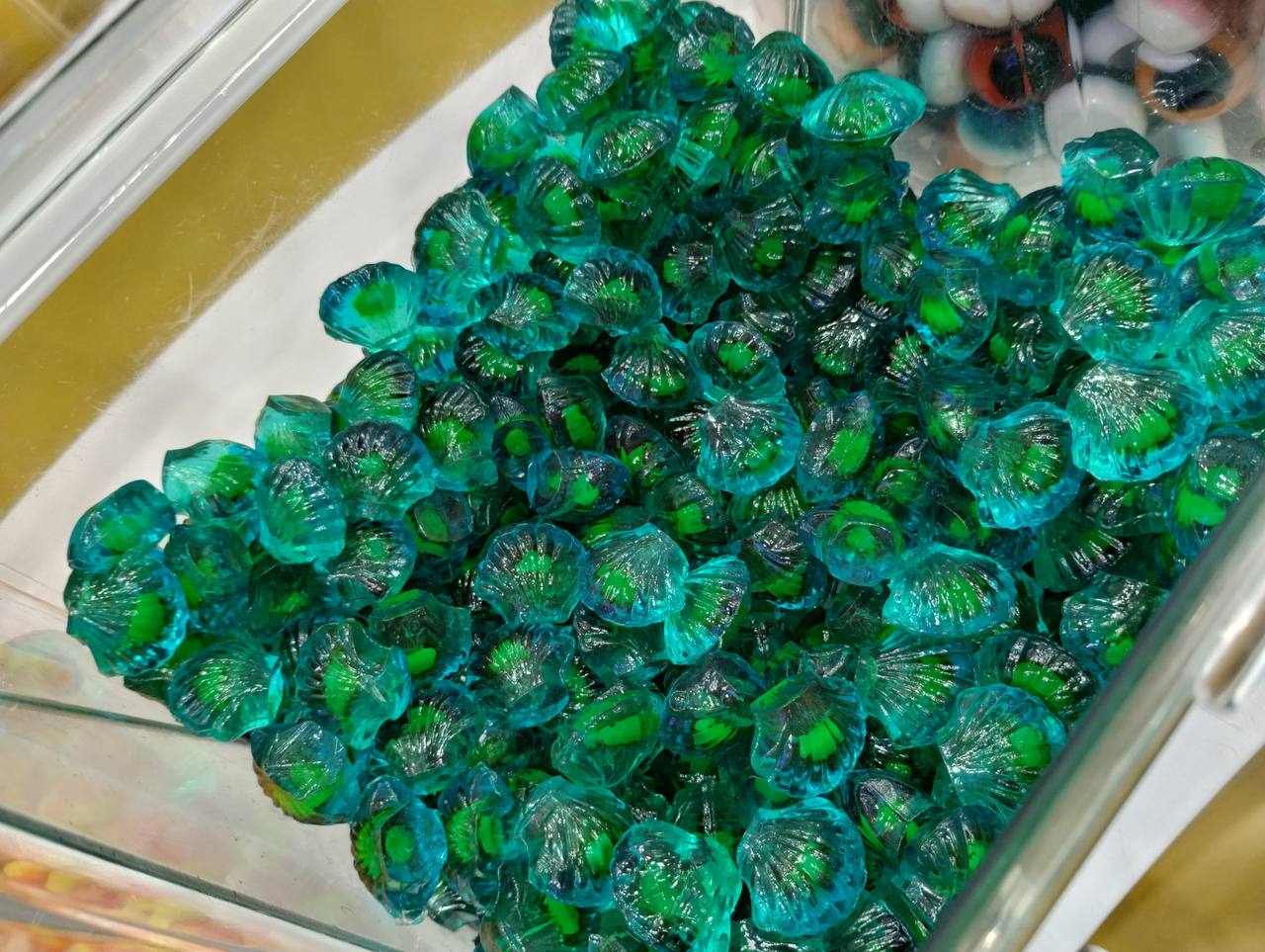 Shell gummies at Island Candy, the SPI signature